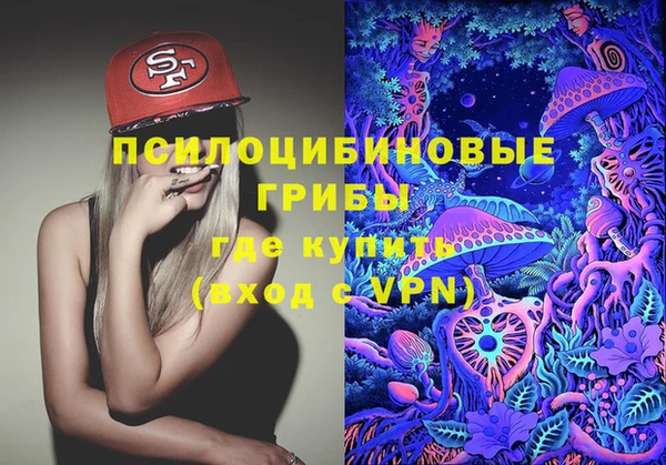стафф Баксан